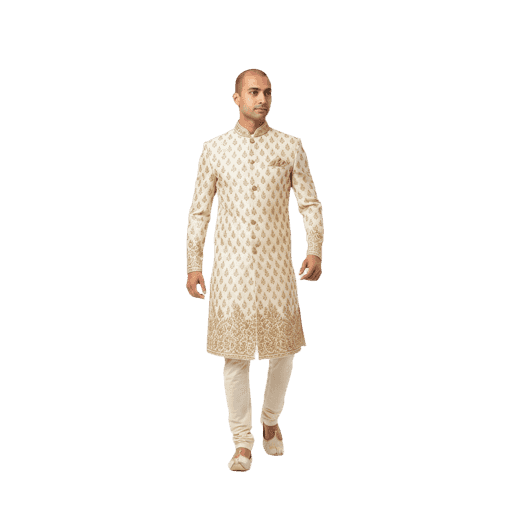 Front-view Indian male walking cut-out PNG